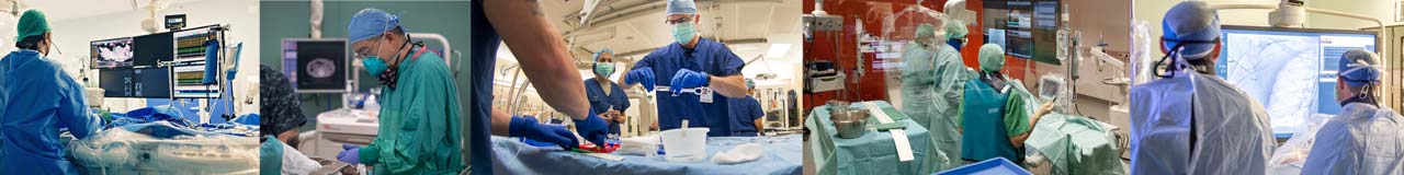 coroline-kolaz-dsktp